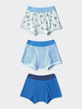 Kids Boxer Briefs | 3 Pairs | Dinosaur