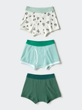 Kids Boxer Briefs | 3 Pairs | Dinosaur