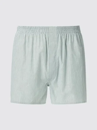Men’s Woven Trunks | Striped