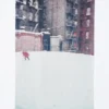 Unisex Peace for All Graphic T-Shirt | Saul Leiter