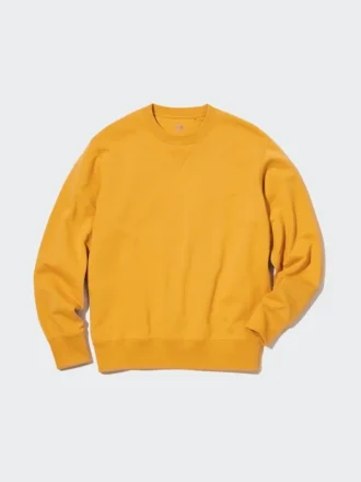 Unisex Sweatshirt | 2024 Edition